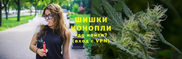 СК Каменногорск