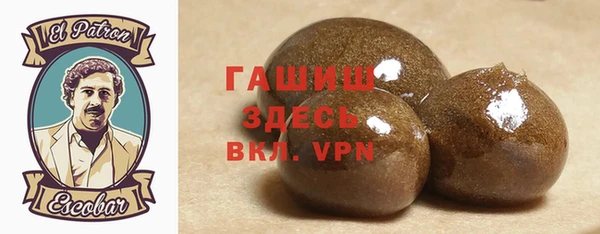 гидра Каменка