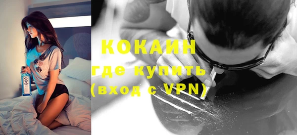 гидра Каменка