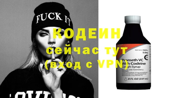 гидра Каменка