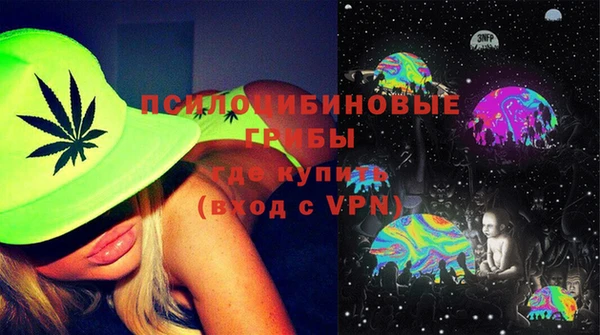 гидра Каменка