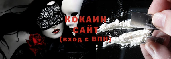 гидра Каменка