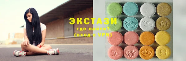гидра Каменка