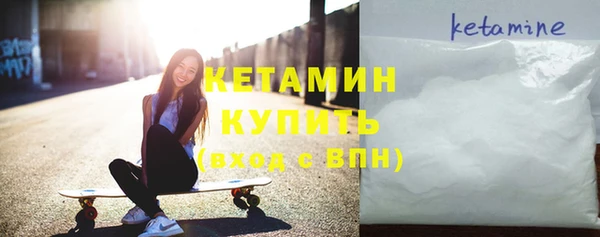 гидра Каменка