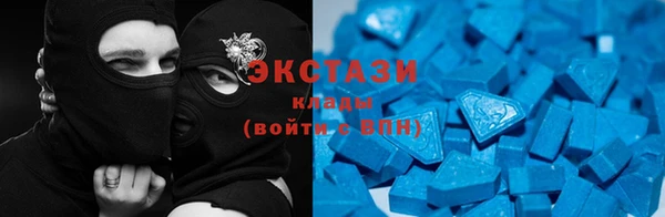 гидра Каменка