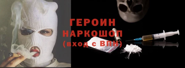 гидра Каменка