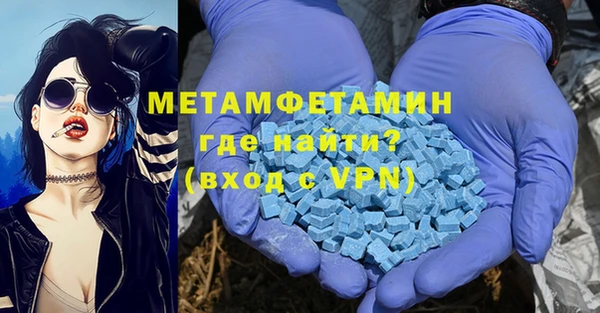 гидра Каменка