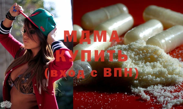 гидра Каменка