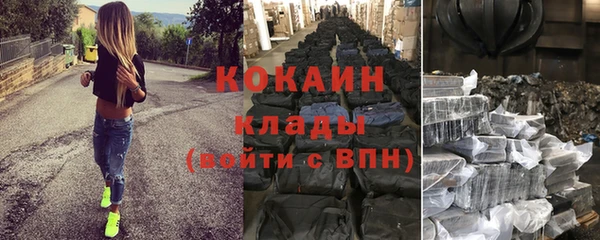 гидра Каменка
