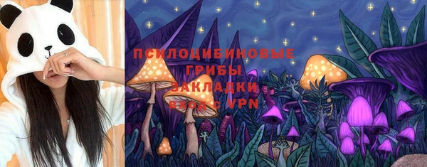 дурь Каменск-Шахтинский