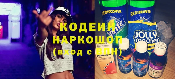 гидра Каменка