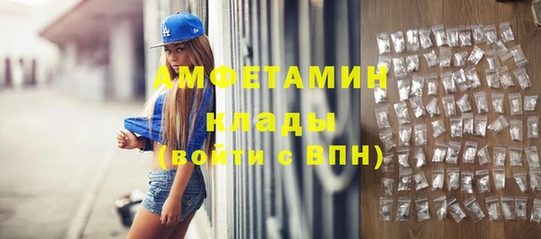 гидра Каменка