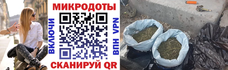 блэк спрут ССЫЛКА  Очёр  Псилоцибиновые грибы GOLDEN TEACHER 